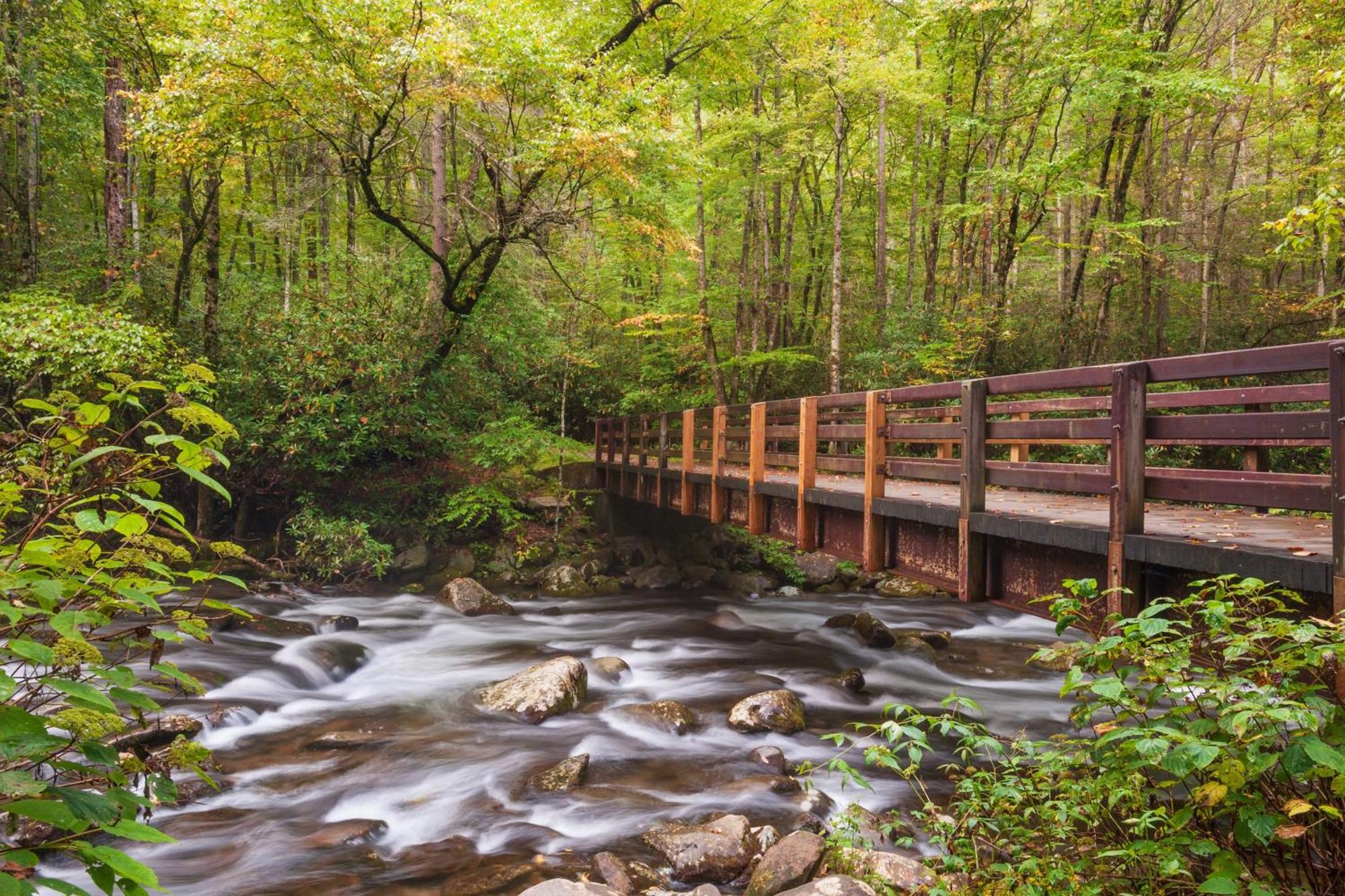 Hidden Memories, Hot Tub, 1089 Of Free Attraction Tickets For Each Paid Day, Dollywood And More ガトリンバーグ エクステリア 写真